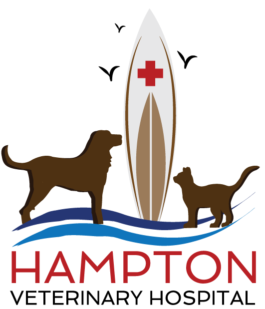 Hampton Veterinary Hospital